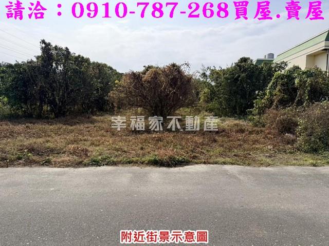 台南麻豆工業地-8