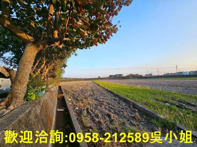 新竹竹北農地-9