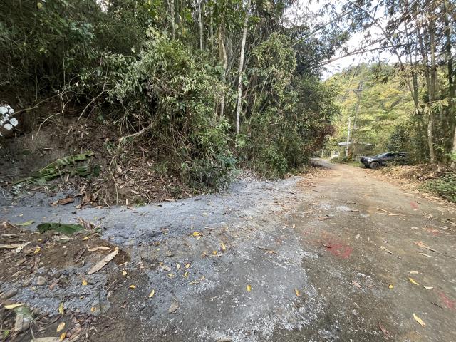 南投鹿谷山坡地-10