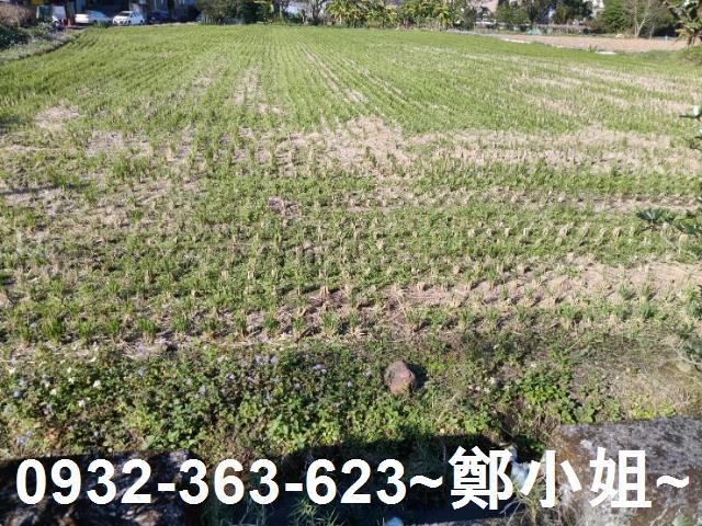 桃園大溪農地-7