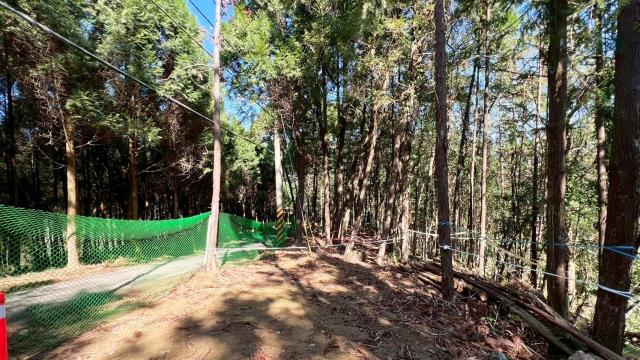 新竹竹東農地-4