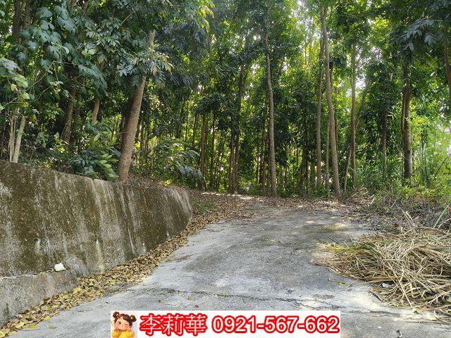 台南龍崎農地-6