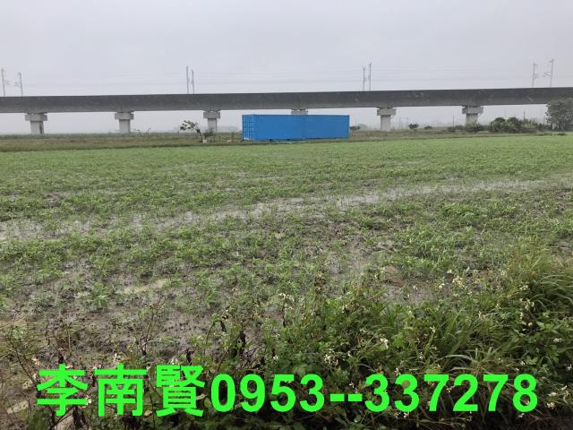 善化農地-6
