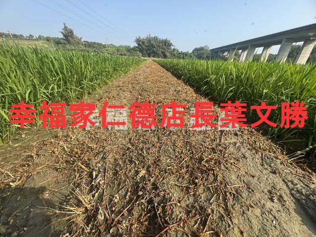 官田農地-11