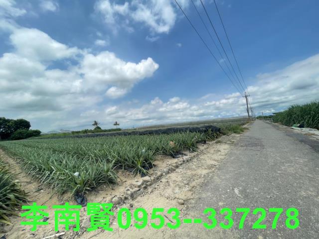 台南農地-9