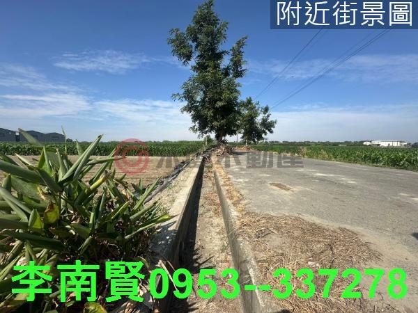 台南安定農地-12