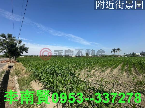 台南安定農地-5
