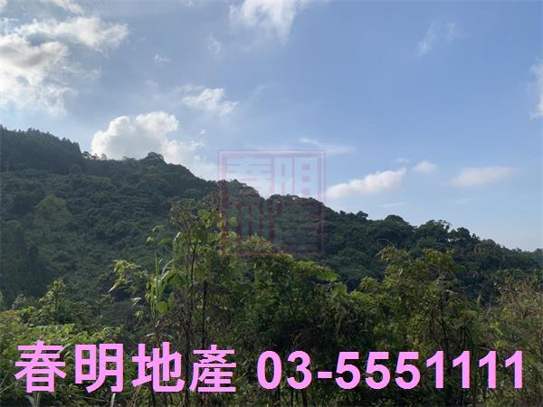 新竹尖石林地-8