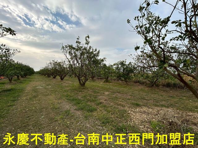 台南麻豆農地-11