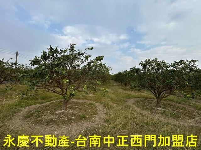 台南麻豆農地-6