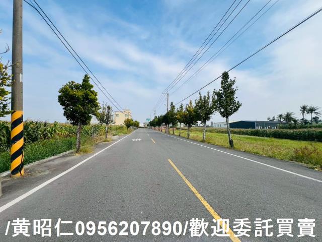 台南安定農地-5