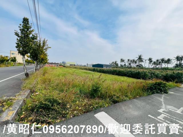 台南安定農地-9