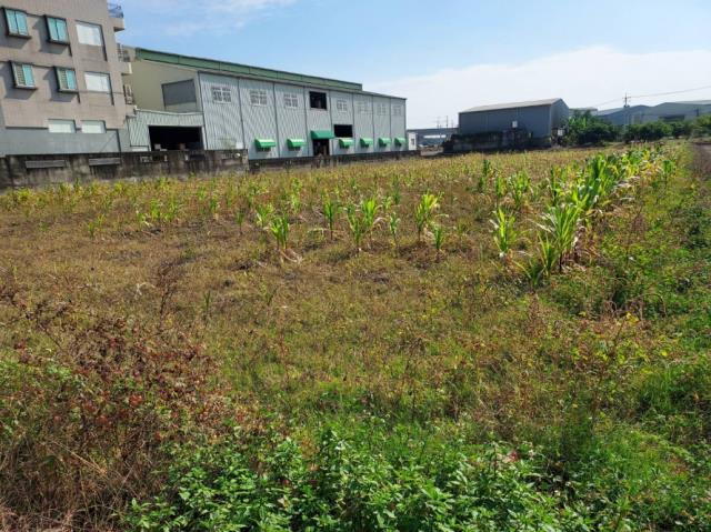 台南歸仁農地-3