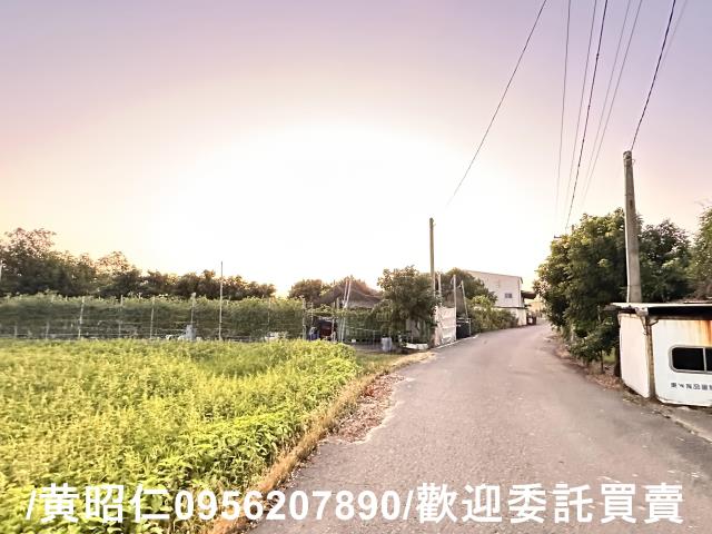 台南仁德農地-10