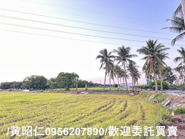 台南仁德農地-4