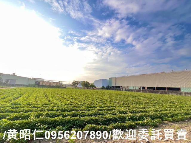 新化農地-1
