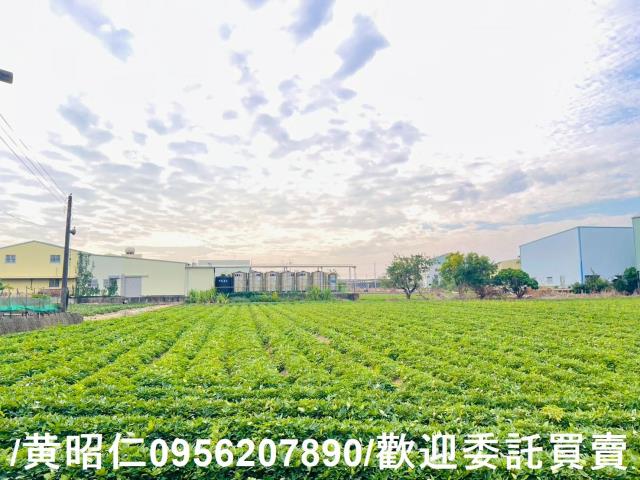新化農地-8