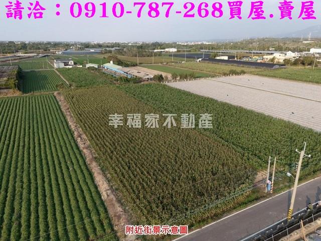 柳營農地-1