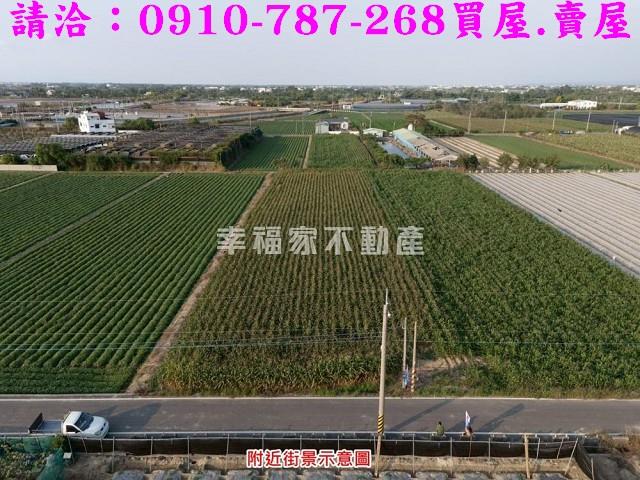 柳營農地-7