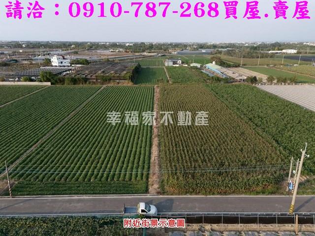 柳營農地-8