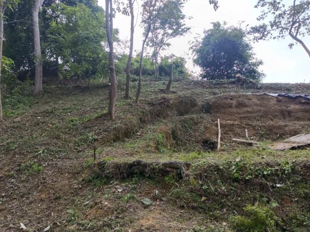 台中太平農地-11