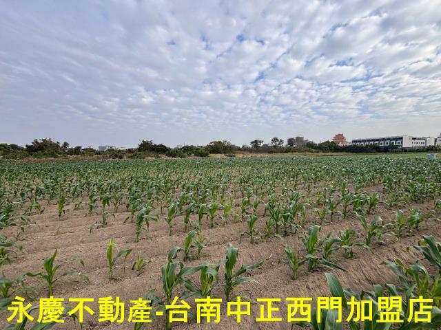 台南安南農地-5