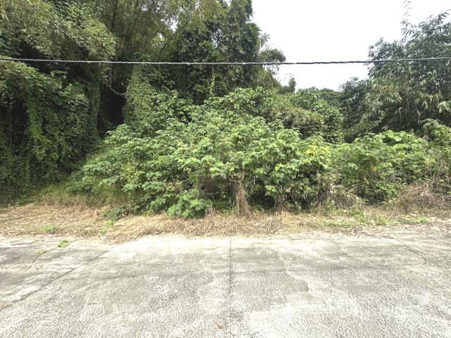 台南龍崎農地-3