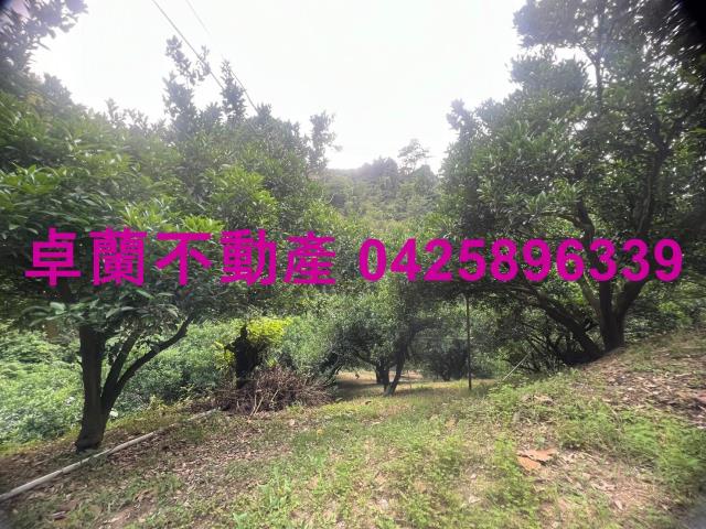 苗栗卓蘭農地-6