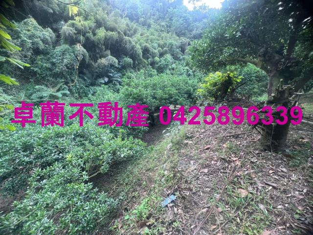 苗栗卓蘭農地-7