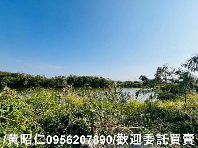 台南安南農地-3