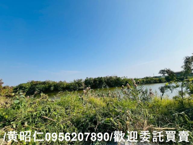 台南安南農地-5