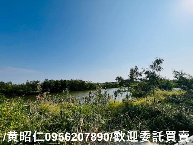 台南安南農地-7