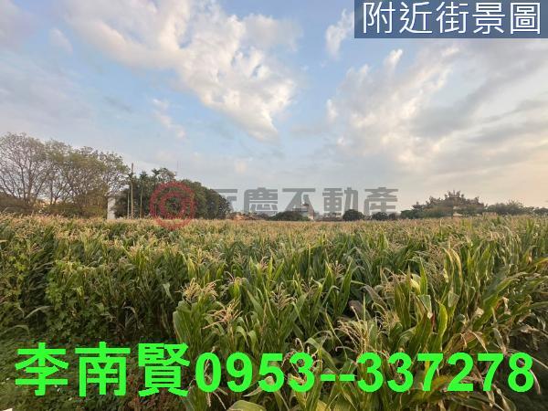 台南農地-5