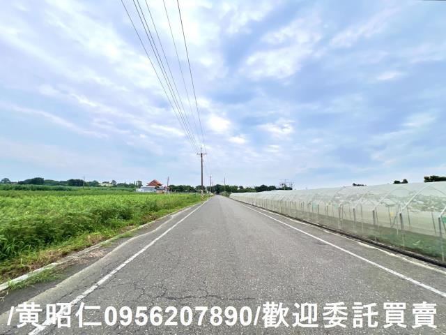 台南善化農地-1