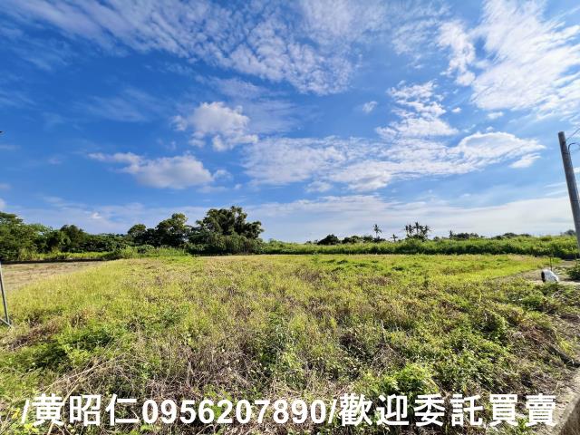 台南善化農地-3