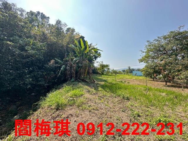 台南楠西農地-3