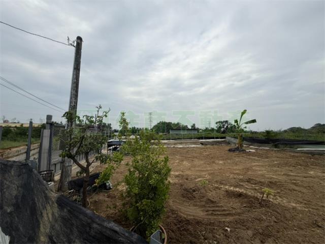 高雄大社農地-11