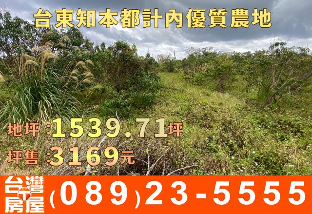 台東台東市農地-5