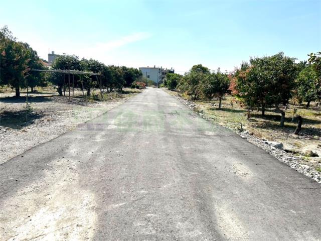 屏東高樹農地-2