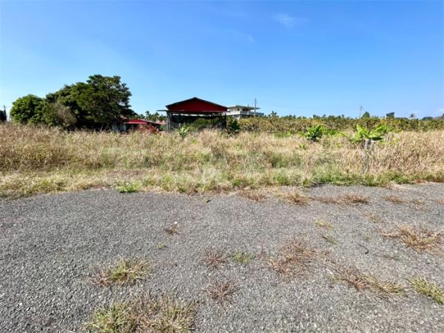 屏東高樹農地-6