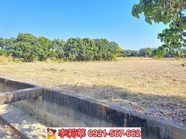 台南農地-5