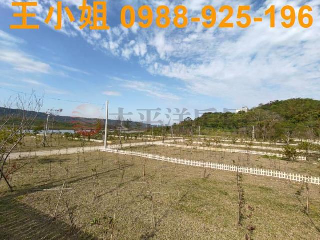 桃園大溪農地-3