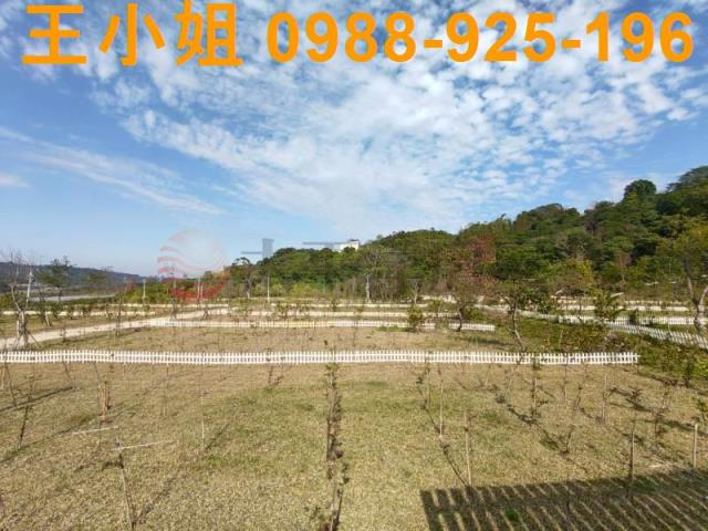 桃園大溪農地-4