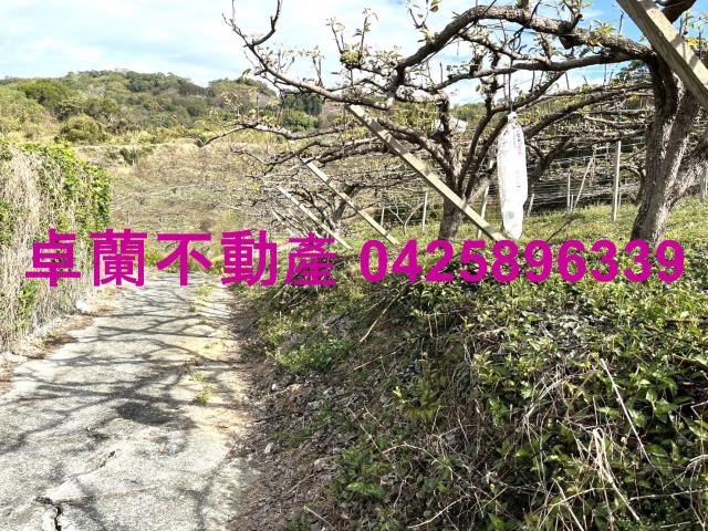 苗栗卓蘭農地-8