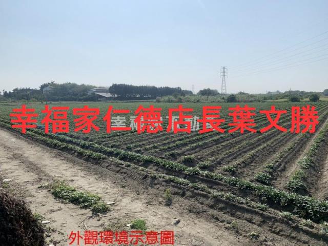 善化農地-10