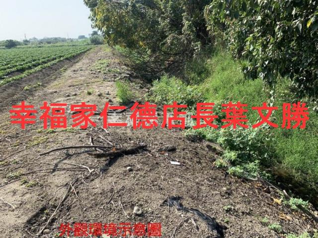善化農地-14