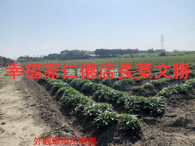 善化農地-2