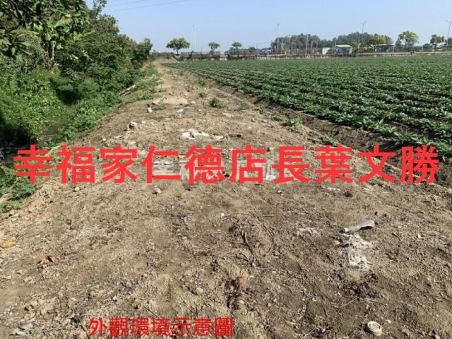 善化農地-7
