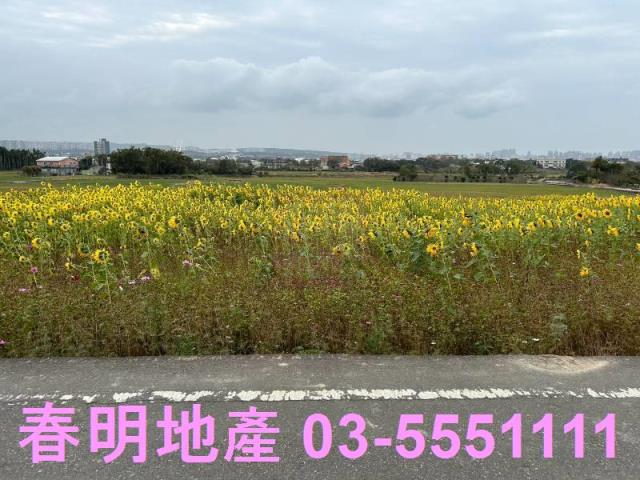 新竹芎林農地-2