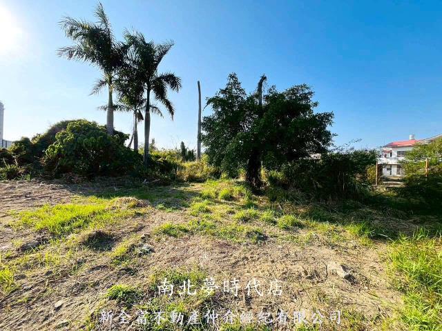 台南仁德農地-2
